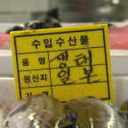 후쿠시마 수산물 개방 논란에 "미국산 쇠고기가 좌파 선동?..결국 개방할 것"[백운기의 시사1번지]
