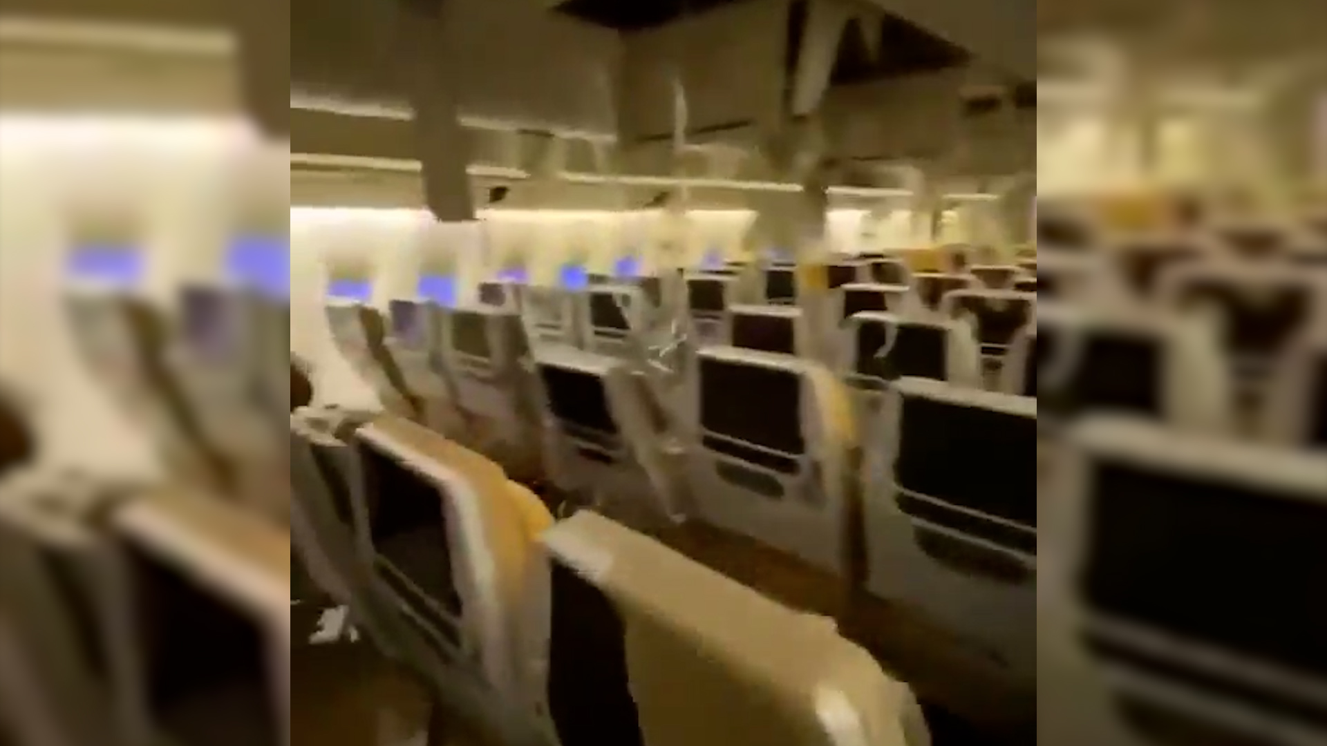 [영상]