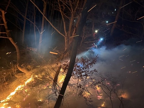 함양 산불 2단계 발령...산불영향구역 100ha 넘어 - 뉴스 썸네일 이미지